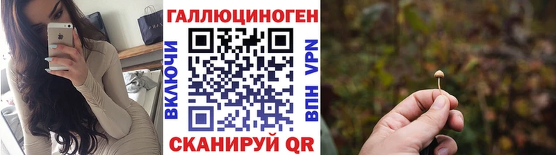Купить где  Ирбит  Галлюциногенные грибы GOLDEN TEACHER 